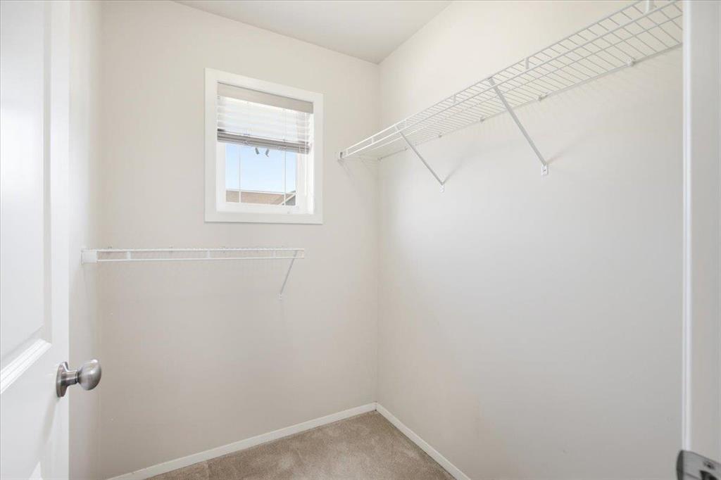 99 Bellflower Road